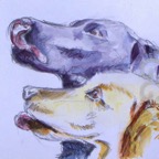 angela's dogs - watercolour, A5 sketch.jpg