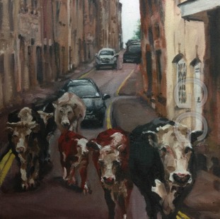 cows in minch 2.jpg